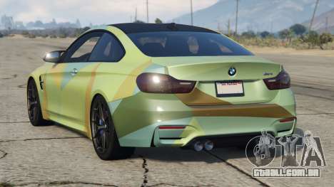 BMW M4 Gray-Tea Green