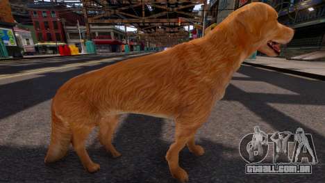 Golden Retriever para GTA 4