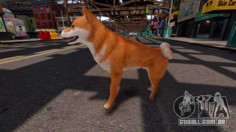 Shiba Inu para GTA 4