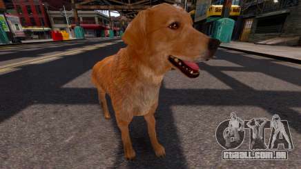 Golden Retriever para GTA 4