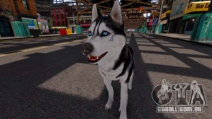 Husky siberiano para GTA 4