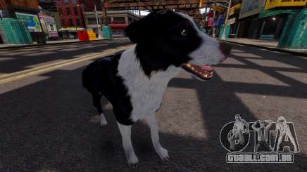 Border collie para GTA 4