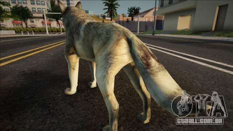 Lobo Cinzento para GTA San Andreas