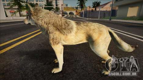 Lobo Cinzento para GTA San Andreas