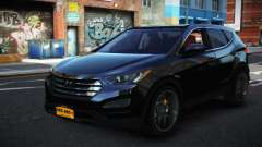 Hyundai Santa Fe 13th