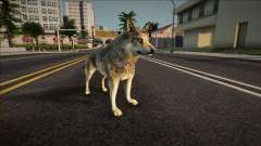 Lobo Cinzento para GTA San Andreas